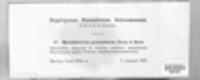 Image Associated With the Occurence